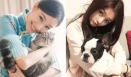 娱乐吃瓜拍到恋情,当红明星甜蜜恋情曝光，甜蜜瞬间被吃瓜群众捕捉